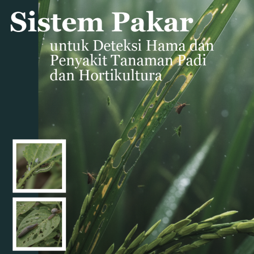 Sistem Pakar untuk Deteksi Hama dan Penyakit Tanaman Padi dan Hortikultura